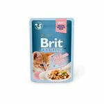 Brit Premium Cat D fileti v omaki za mačke 85g