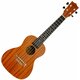 Pasadena SU024B Koncertne ukulele Natural