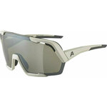 Alpina Rocket Bold Q-Lite Cool/Grey Matt/Silver Kolesarska očala