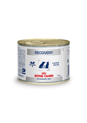 Royal Canin VHN RECOVERY DOG/CAT 195g konzervirana hrana