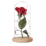 Rdeča vrtnica v stekleni kupoli z LED lučkami