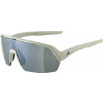 Alpina Turbo HR Cool/Grey Matt/Black Športna očala