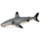 Slika morskega psa 17 cm