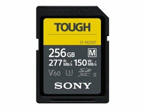Sony SD 256GB