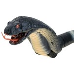 Cobra za nadzor