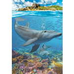 WEBHIDDENBRAND EUROGRAFIJA Puzzle Rešimo naš planet: Delfini XL 250 kosov