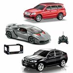 Eurom-Denis R/C Avto na daljinca 1:24 - 3850223495001 - 49-500000