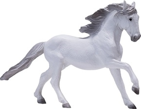 Mojo beli luzitanski konj