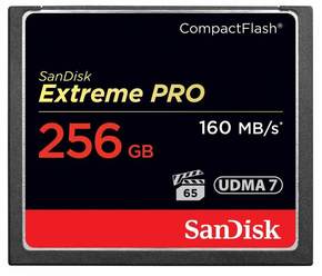 SanDisk CompactFlash 256GB spominska kartica
