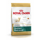 ROYAL CANIN Golden Retriever Junior 3 kg