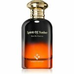 Luxury Concept Spirit Of Amber parfumska voda uniseks 100 ml