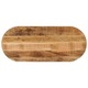 vidaXL Mizna plošča 120x60x3,8 cm ovalna trden robusten mangov les