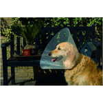 Beeztees zaščitna ovratnica za pse, 44-50 × 25 cm, prozorna