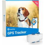 Vlečni GPS DOG 4 LTE sledilnik
