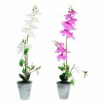 NEW Dekorativna rastlina DKD Home Decor 8424001819430 21 x 21 x 82 cm Lila Bela Orhideja (2 kosov)
