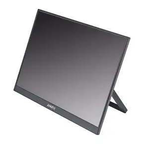 ANMITE prenosni monitor A160W03H