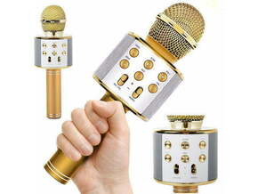 VERK GROUP uSB bluetooth karaoke brezžični mikrofon z zvočnikom FM radio 01377
