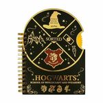 WEBHIDDENBRAND Blok z vrtiljakom Harryja Potterja - Bradavičarke