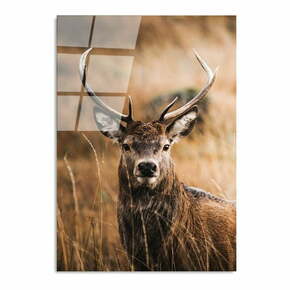 Steklena slika 70x100 cm Deer – Wallity