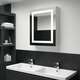 LED kopalniška omarica z ogledalom 50x13x70 cm