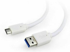 WEBHIDDENBRAND Gembird Kabel USB 3.0 (AM) do USB 3.1 (CM)