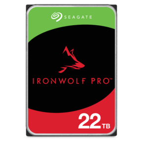 Seagate IronWolf Pro ST22000NT001 HDD