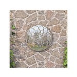 VIDAXL Vrtno ogledalo peščeno 60x3 cm železno okroglo zunanje
