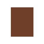 Erborian CC Water Fresh Complexion Gel Skin Perfector negovalna cc-krema za svež videz 15 ml odtenek Chocolat
