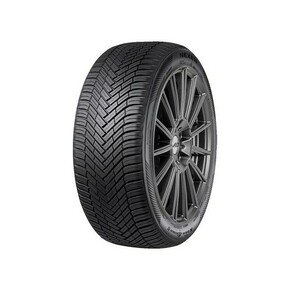 Nexen celoletna pnevmatika N-Blue 4 Season
