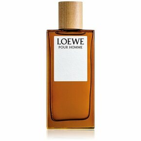 Loewe Pour Homme toaletna voda 100 ml za moške