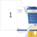 Herma Superprint 4375 etikete, A4, 210 x 297 mm, prozorne