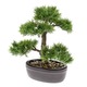 Emerald Umetni bonsai cedra zelen 32 cm