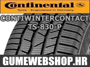 Continental zimska pnevmatika 295/30R20 ContiWinterContact TS 830 P XL 101W