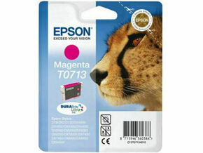 Epson T071340