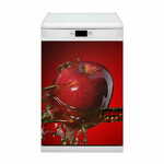 tulup.si Nalepka na pomivalni stroj Rdeče jabolko 60x70 cm