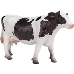Mojo Holstein krava