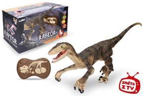 Raptor RC 45 cm