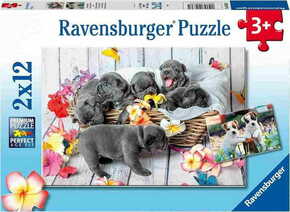 WEBHIDDENBRAND RAVENSBURGER Ljubki kužki Puzzle 2x12 kosov