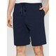 Polo Ralph Lauren Športne kratke hlače 714844761003 Mornarsko modra Regular Fit