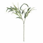 Umetni evkaliptus (višina 85 cm) Eucalyptus – Bloomingville