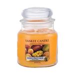 Yankee Candle Mango Peach Salsa dišeča svečka 411 g unisex