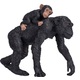 Mojo Šimpanz a mláďa