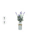 NEW Dekorativna rastlina Everlands Cvetlični lonec Sivka (Ø 13 x 32 cm)