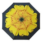 Blooming Brollies Ženski zložljivi dežnik EDRFFSF