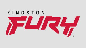 Kingston Fury Beast KF548C38BB/32