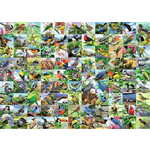 WEBHIDDENBRAND RAVENSBURGER Puzzle 99 osupljivih ptic EXTRA 300 kosov