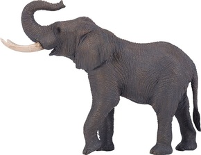 Afriški slon Mojo