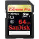 SanDisk SDHC 64GB spominska kartica