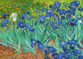 ENJOY Puzzle Vincent Van Gogh: Iris 1000 kosov