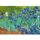 ENJOY Puzzle Vincent Van Gogh: Iris 1000 kosov